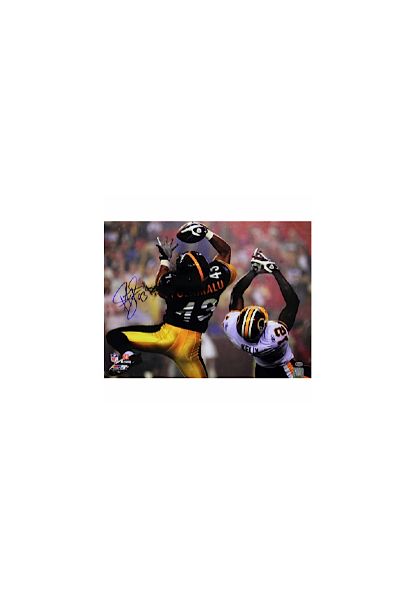 Troy Polamalu Catching Ball vs. Redskins Autographed Horizontal 16x20 Photo (ReichPM Auth)